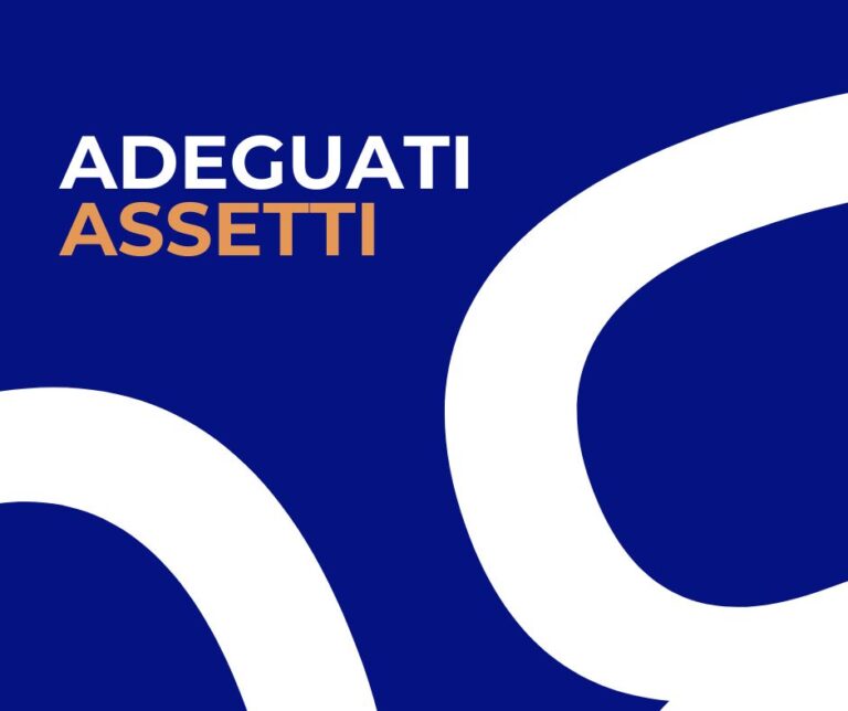 Adeguati assetti_dashboard360